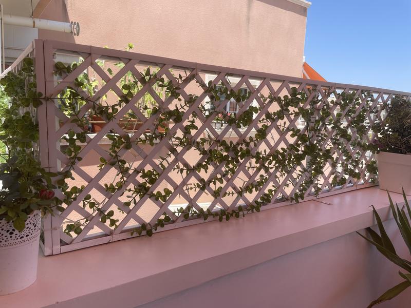 Abrir modal de revisión 2 de 2