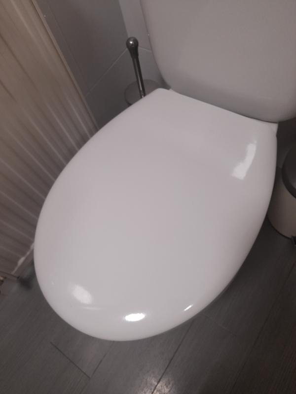Tapa WC Roca Victoria Adaptable Duroplast/Herrajes de Nylon/Facil  Instalación y Limpieza