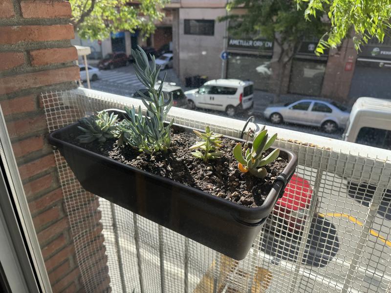 Abrir modal de revisión 2 de 2