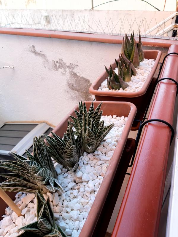 Abrir modal de revisión 2 de 2