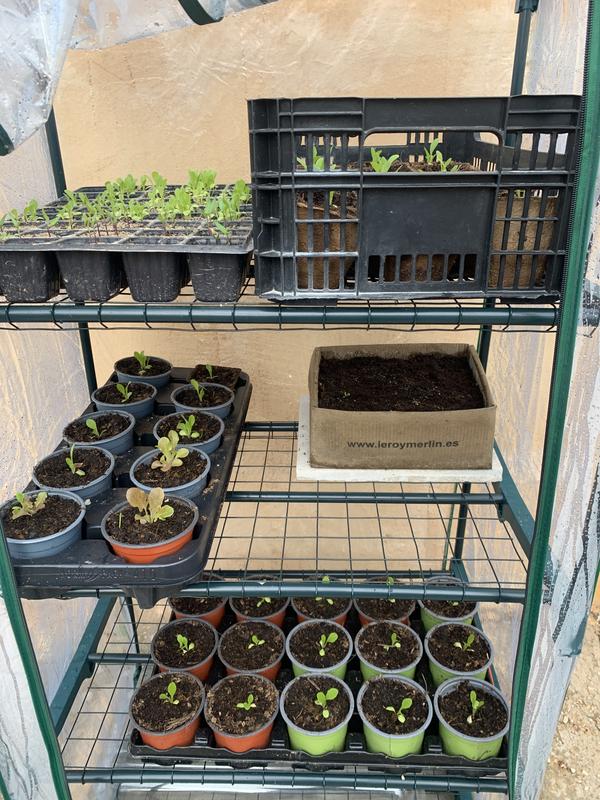 Abrir modal de revisión 4 de 4