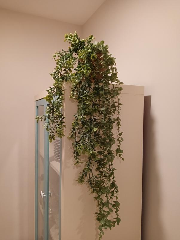 Abrir modal de revisión 1 de 2