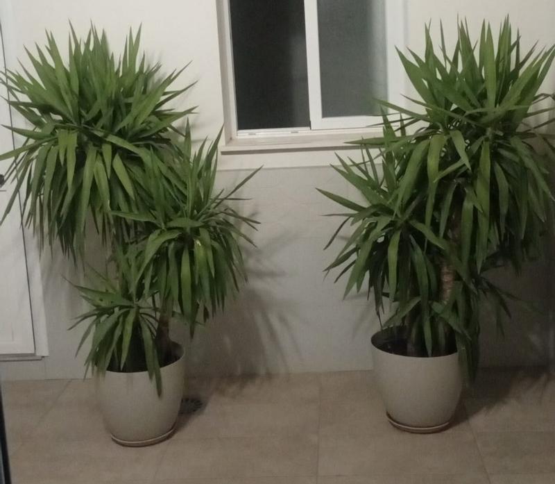 Abra o modal de avaliação 1 de 1