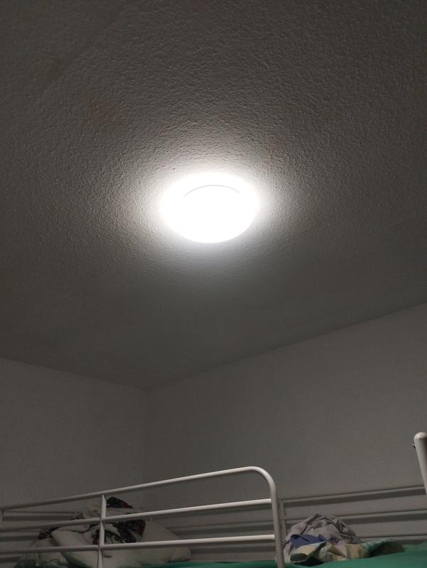 Abrir modal de revisión 1 de 1