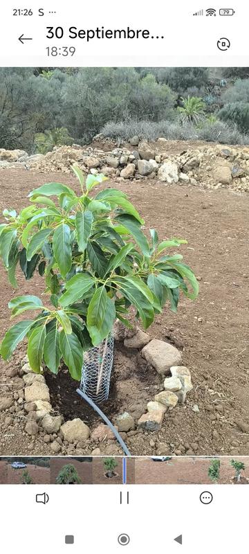 Abrir modal de revisión 2 de 3