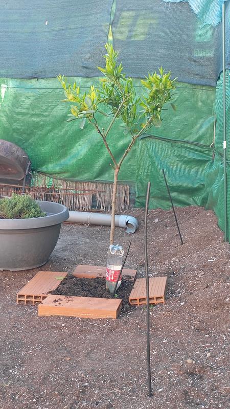 Abrir modal de revisión 1 de 1