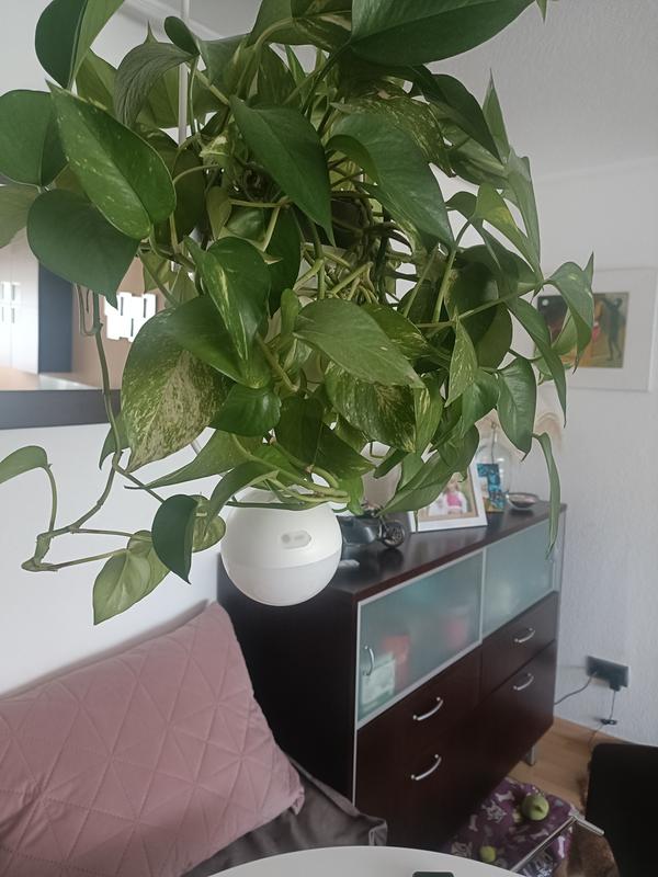 Abrir modal de revisión 1 de 2