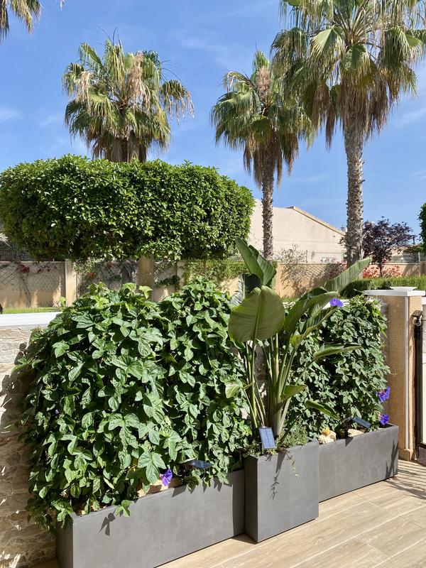 Abrir modal de revisión 5 de 5