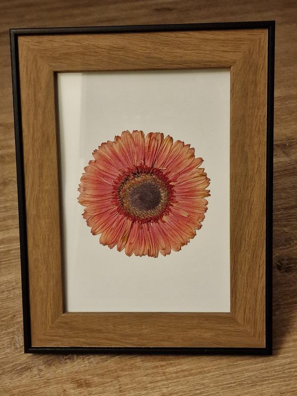 Abrir modal de revisión 1 de 1