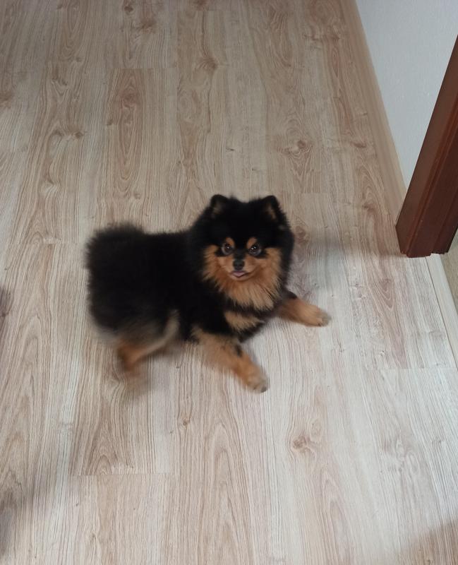 Abra o modal de avaliação 1 de 1