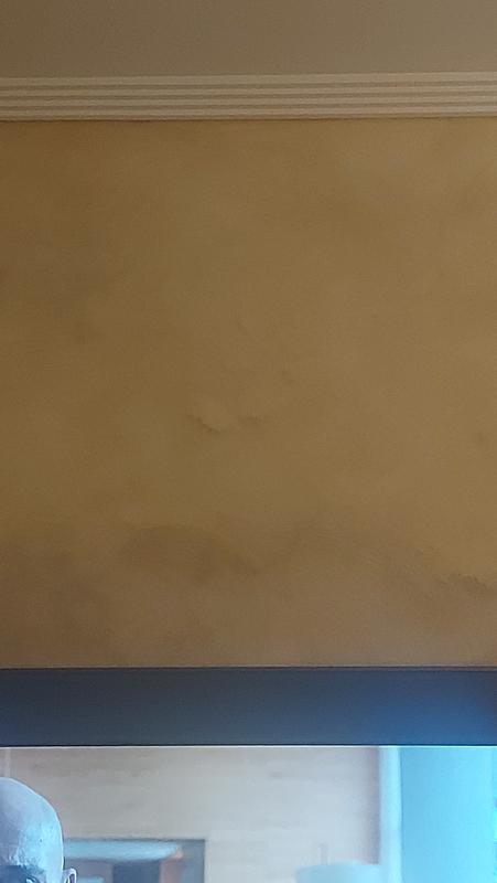 Abrir modal de revisión 1 de 1