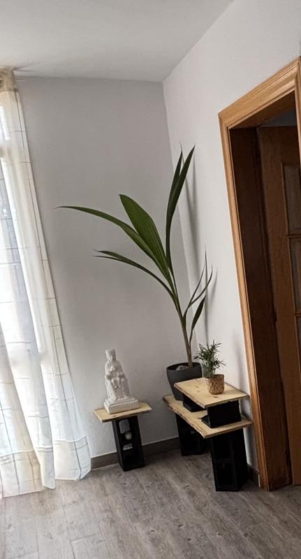 Abrir modal de revisión 1 de 1