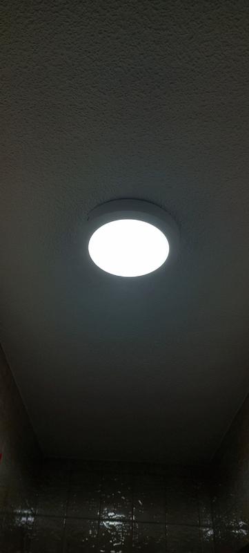 Abrir modal de revisión 1 de 1