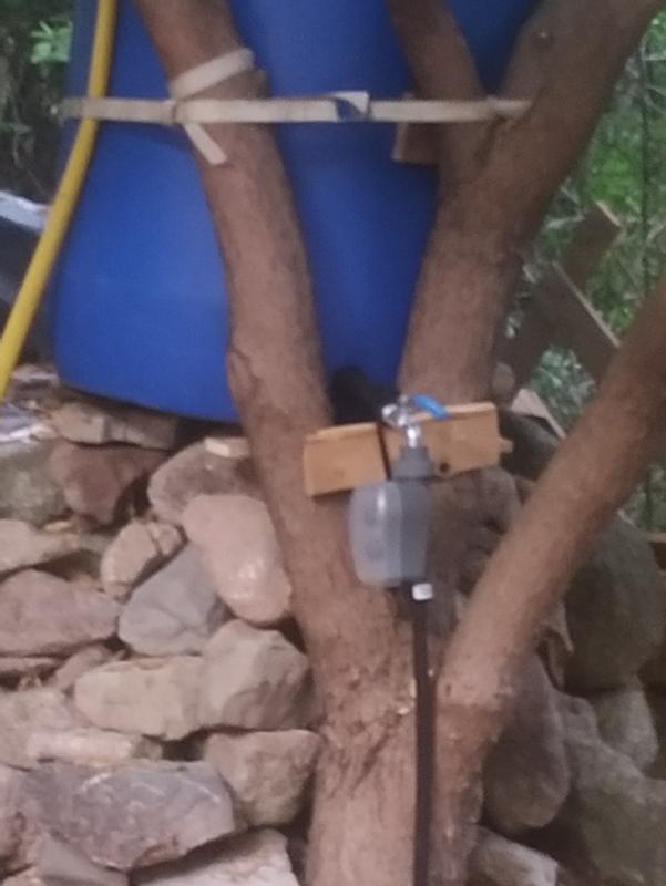 Abrir modal de revisión 1 de 1