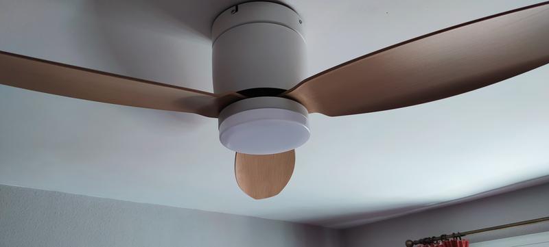 Abrir modal de revisión 1 de 1