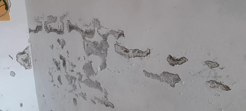 Abrir modal de revisión 1 de 2