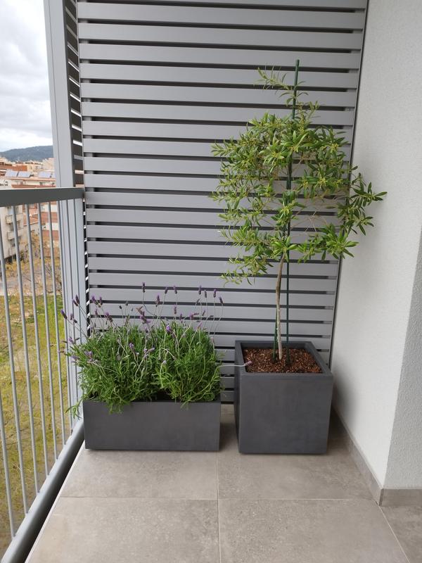 Abrir modal de revisión 1 de 1