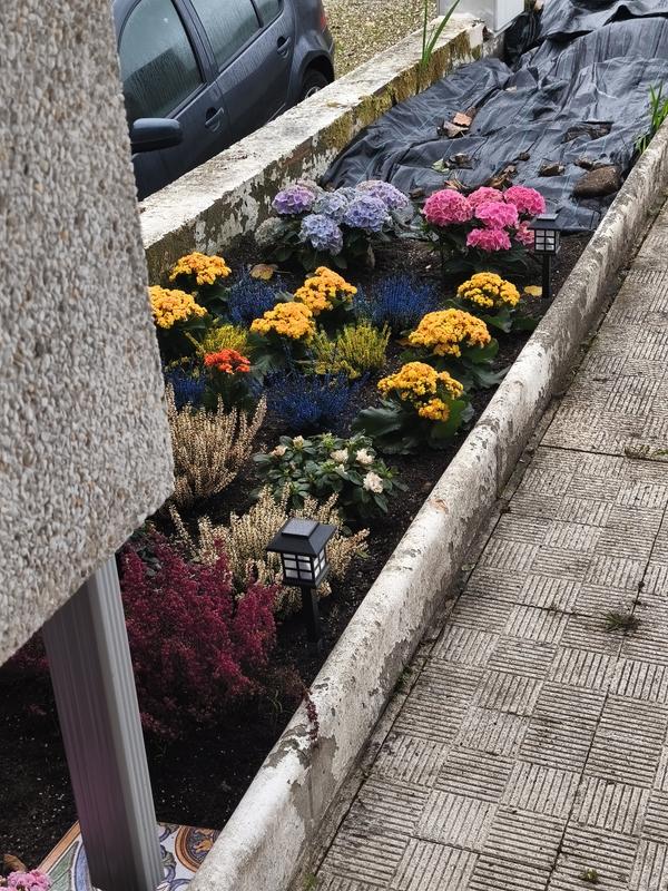 Abra o modal de avaliação 1 de 1