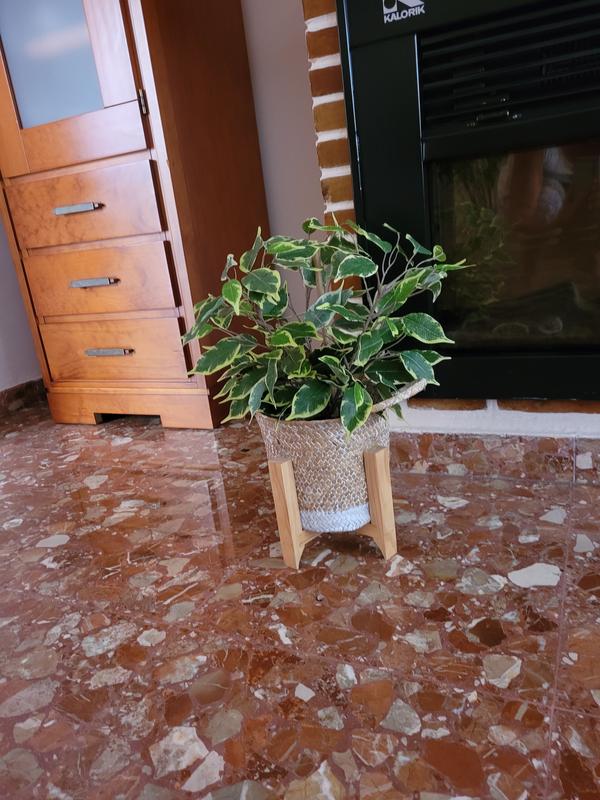 Abrir modal de revisión 1 de 1