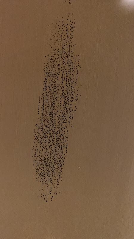 Abrir modal de revisión 2 de 2