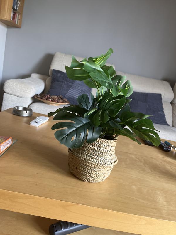 Abrir modal de revisión 1 de 1