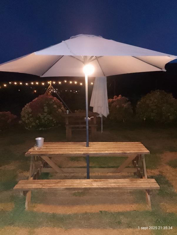 Revisione aperta modale 1 su 1