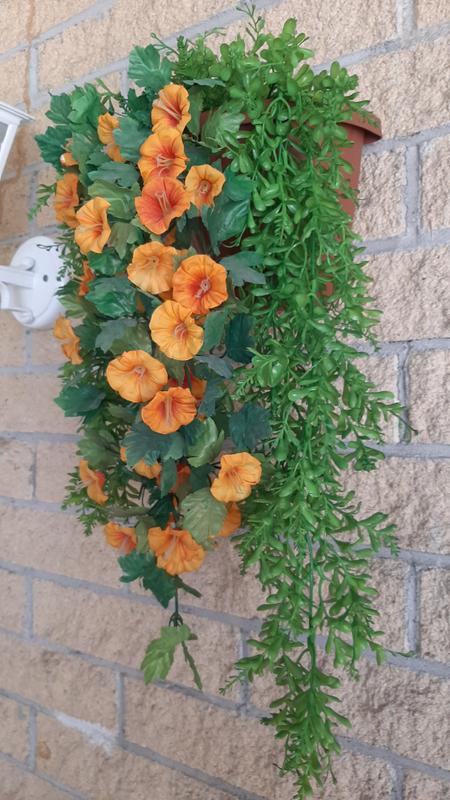 Abrir modal de revisión 1 de 1