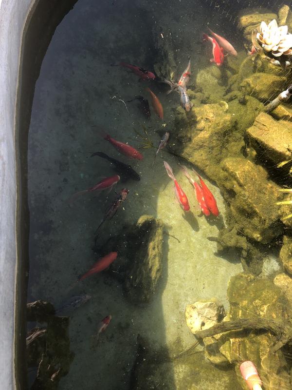 Ouvrir la fenêtre modale de l'avis 1 sur 1