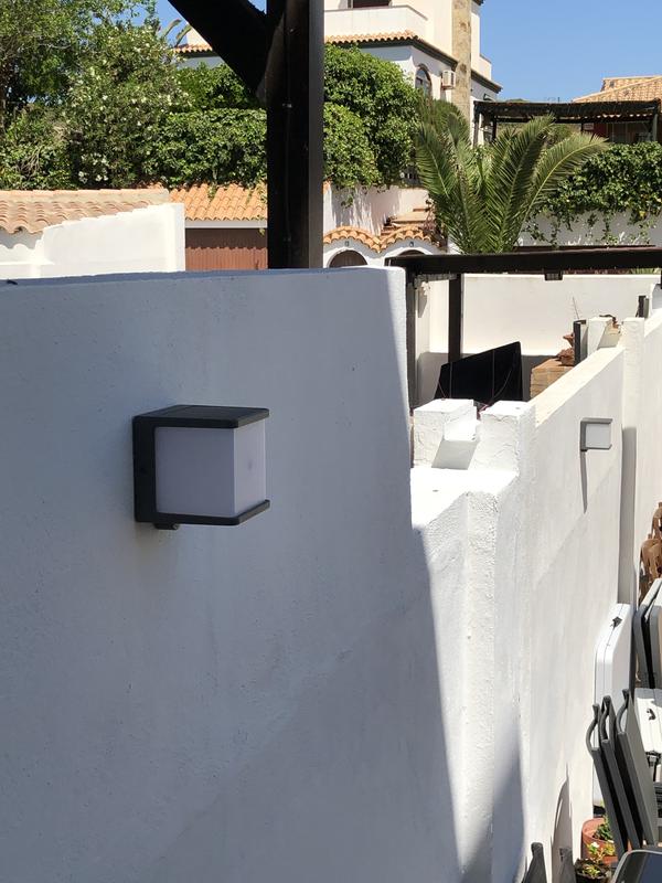 Revisione aperta modale 2 su 2