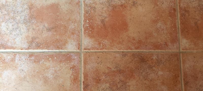 Abrir modal de revisión 1 de 1