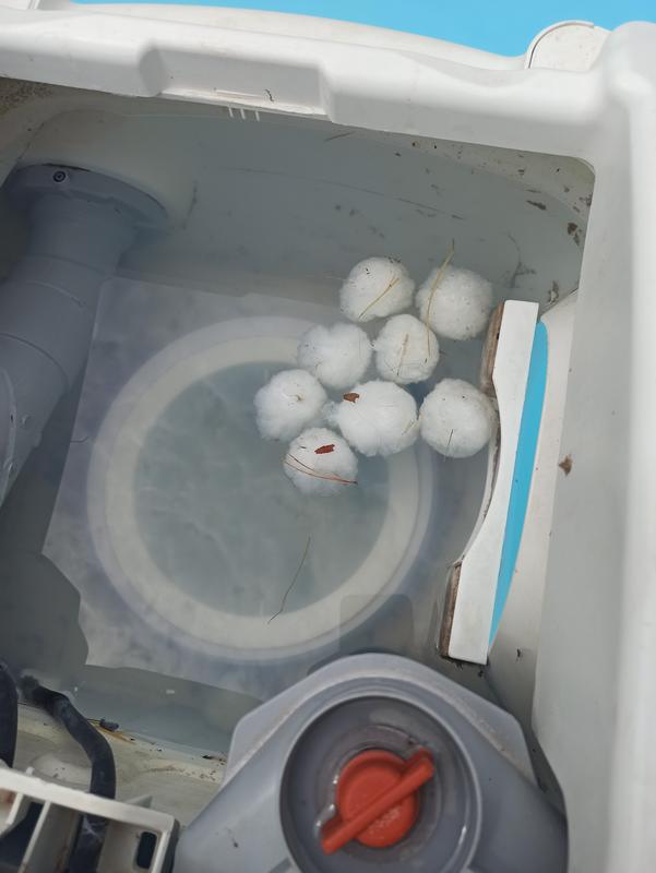 Revisione aperta modale 1 su 1