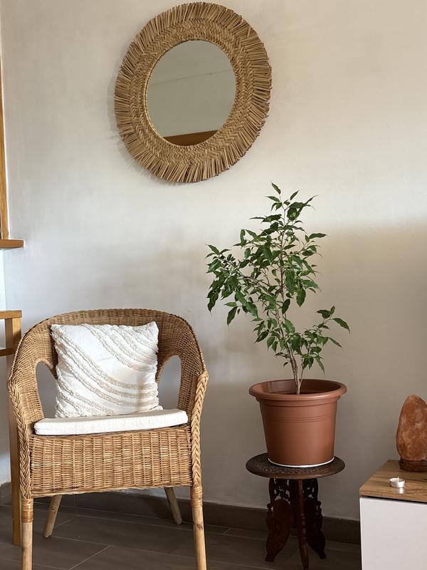 Abrir modal de revisión 1 de 1