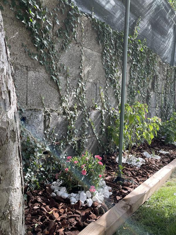 Abra o modal de avaliação 1 de 1