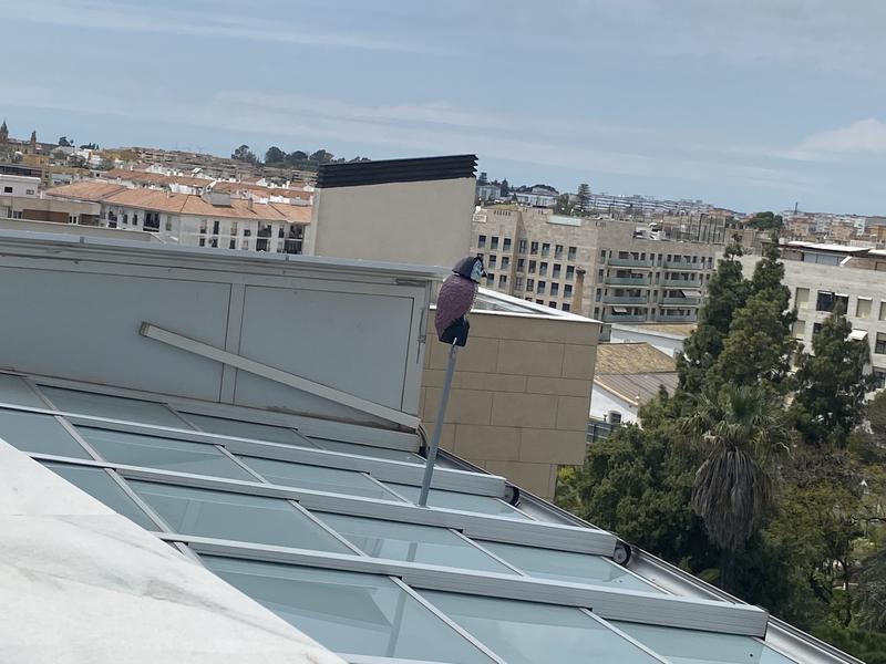 Abrir modal de revisión 2 de 2