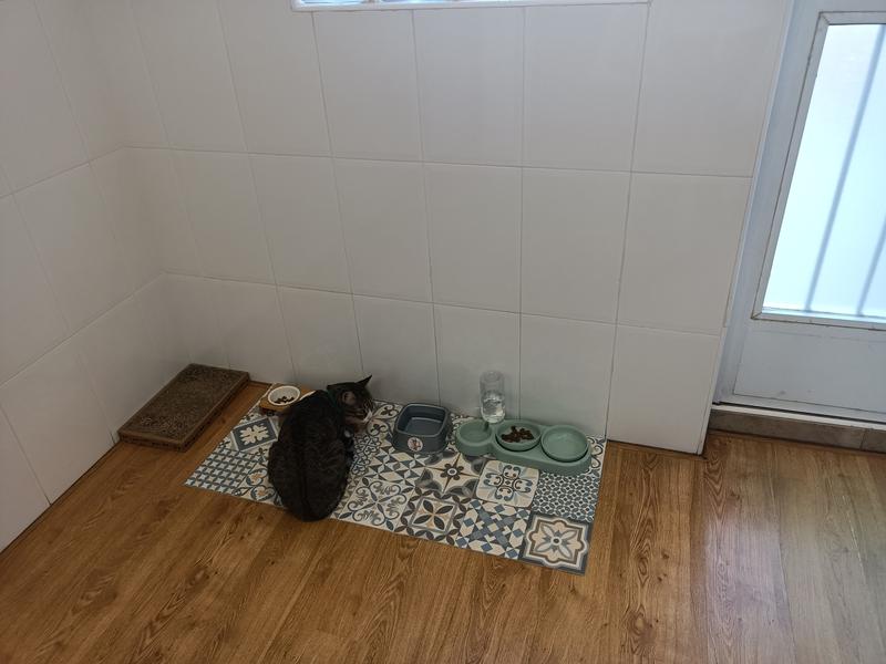 Abrir modal de revisión 2 de 2