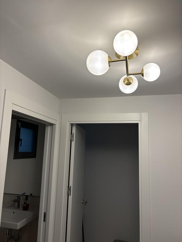 Revisione aperta modale 1 su 1