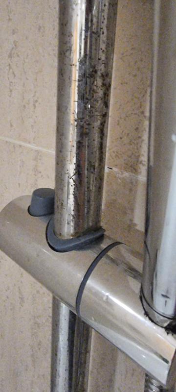 Abrir modal de revisión 1 de 1