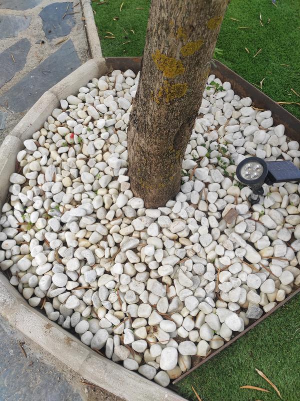 Abra o modal de avaliação 1 de 1