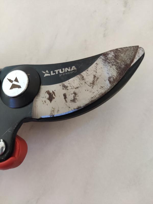 Abrir modal de revisión 1 de 1