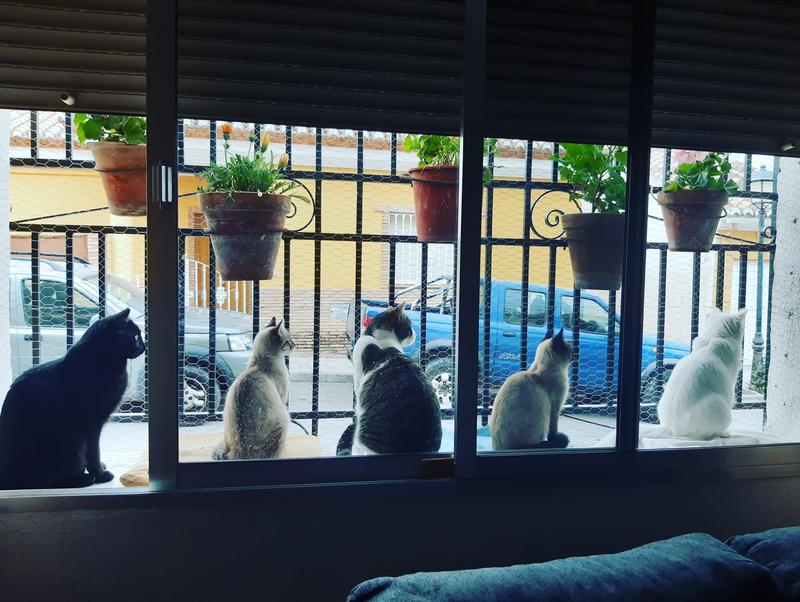 Abrir modal de revisión 1 de 1