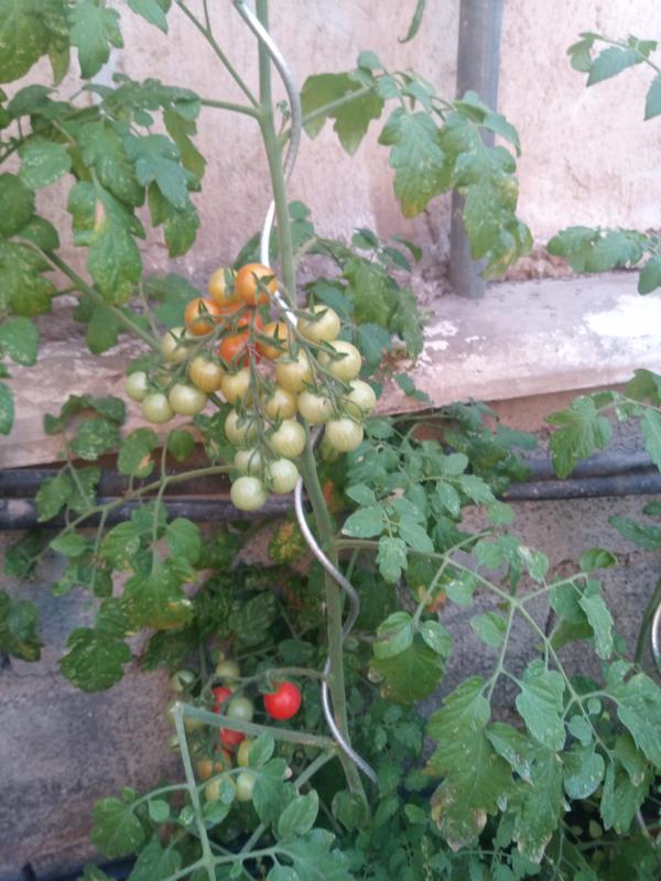 Ouvrir la fenêtre modale de l'avis 1 sur 2