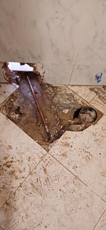 Abrir modal de revisión 1 de 1