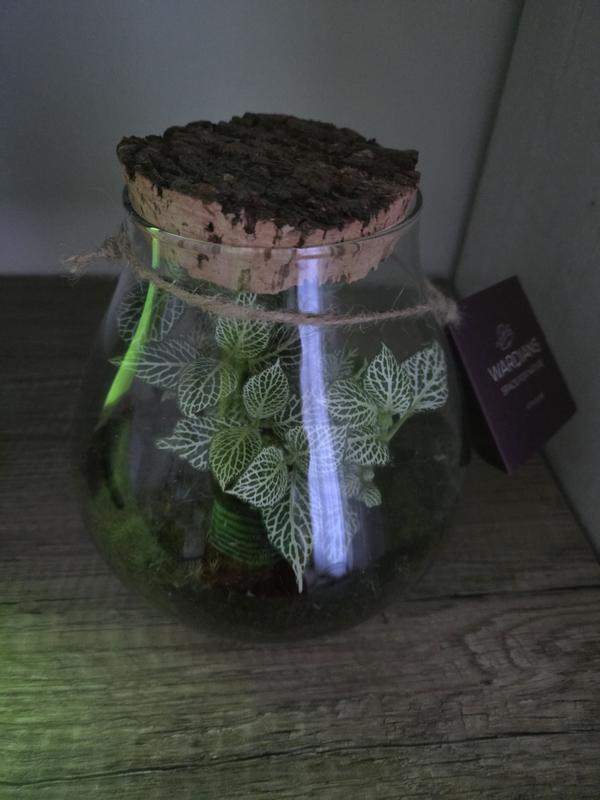 Abrir modal de revisión 1 de 1