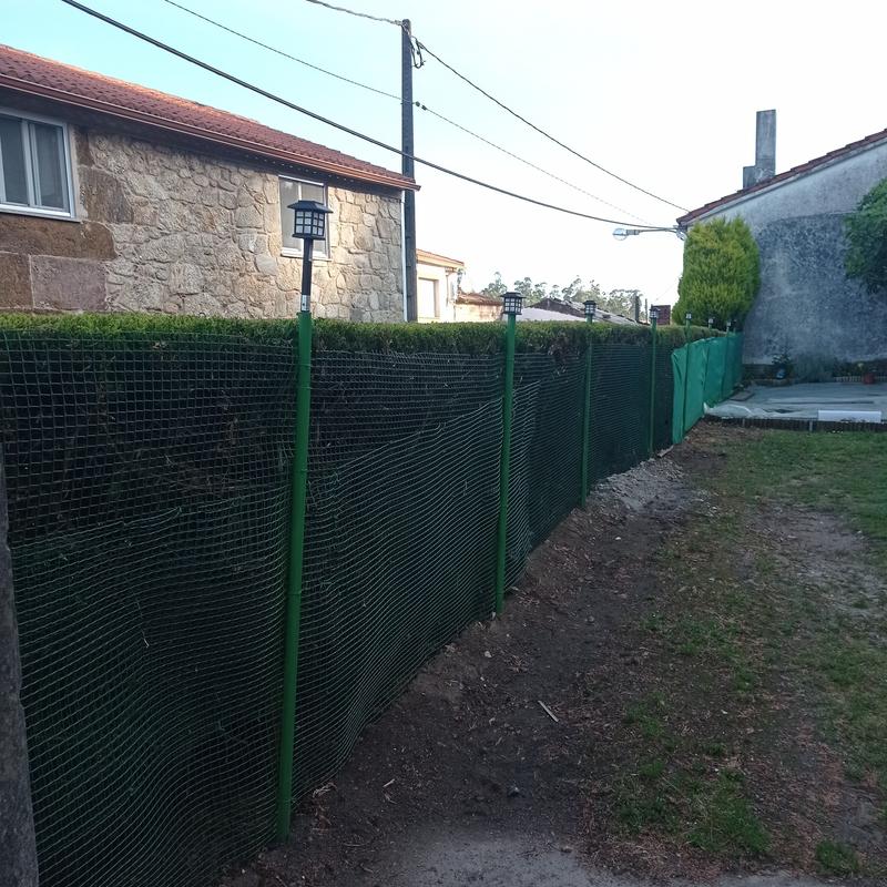 Abrir modal de revisión 1 de 1