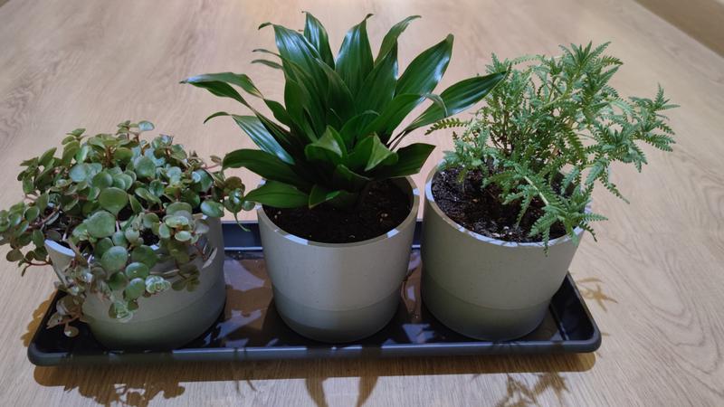 Revisione aperta modale 1 su 1