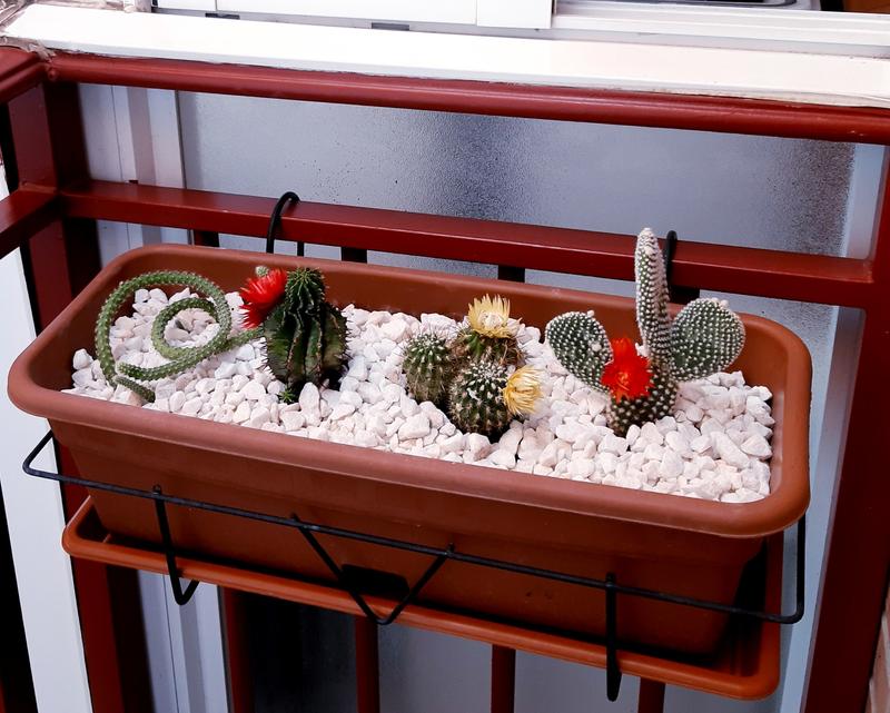 Abrir modal de revisión 1 de 2