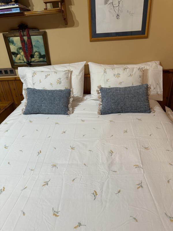 Abra o modal de avaliação 1 de 1