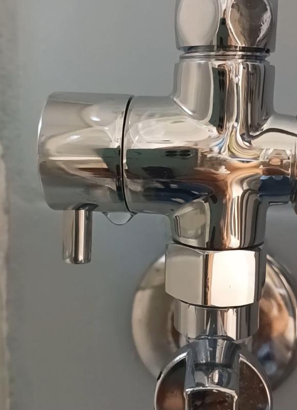 Edouard Rousseau Ducha Higiénica De Pared – Agua Fría, Latón Macizo Cromado, Incluye Manguera Y Soporte