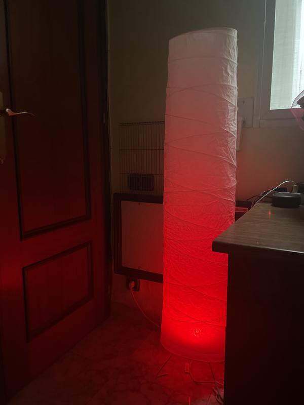 Abrir modal de revisión 3 de 4