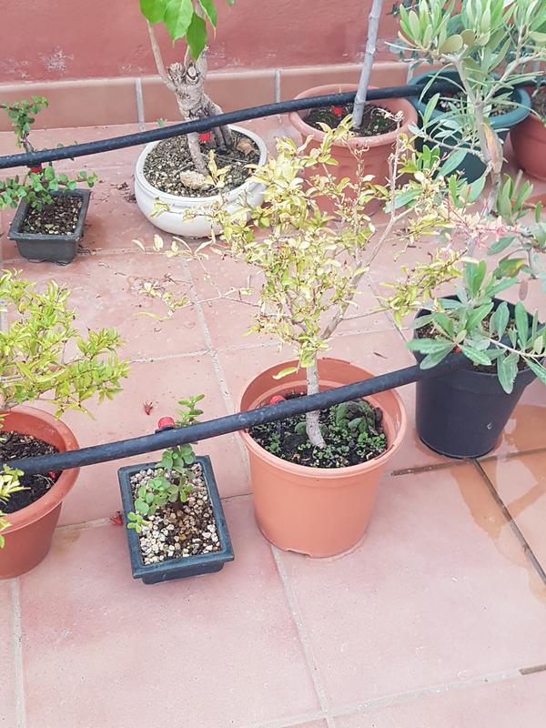 Abrir modal de revisión 2 de 3